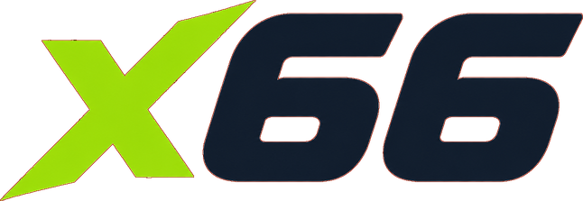 x66